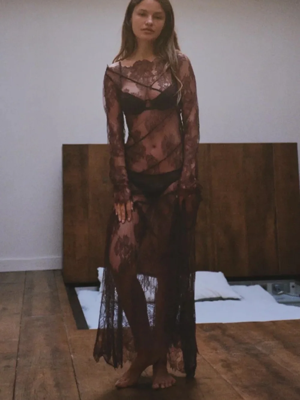 Zara Sheer Lace Long Sleeve Maxi dress